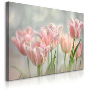 Muralo OBRAZ NA PLÁTNE do Obývačky Kvety Tulipány Listy Príroda 90 x 60 cm vyobraziť