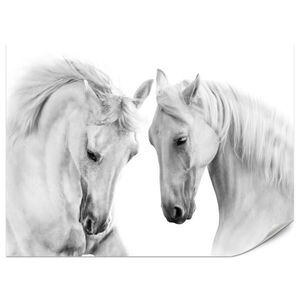 Muralo FOTOTAPETA Pre Spálňu Biele Kone Sivé Pozadie Elegancia Divoká Príroda 400 x 280 cm vyobraziť