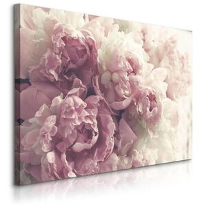 Muralo OBRAZ NA PLÁTNE Pivónie Kvety 3D Rastliny Príroda 120 x 80 cm vyobraziť