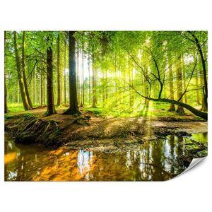 Muralo FOTOTAPETA Pre Obývaciu Izbu Lesná Krajina Stromy Listy Jar Zelená 250 x 175 cm vyobraziť