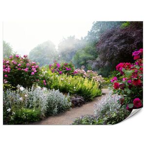 Muralo FOTOTAPETA Pre Spálňu Farebné Kvety Lesná Cesta Ruže Stromy 100 x 70 cm vyobraziť