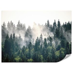 Muralo FOTOTAPETA Pre Obývaciu Izbu Hmlový Ihličnatý Les Hora Mystika Stromy 400 x 280 cm vyobraziť