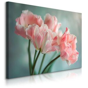 Muralo OBRAZ NA PLÁTNE do Obývačky Kvety Tulipány Rastliny Príroda 120 x 80 cm vyobraziť