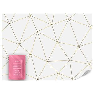 Muralo FOTOTAPETA Geometrická Abstrakcia Glamour Štýl 450 x 315 cm vyobraziť