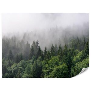 Muralo FOTOTAPETA Pre Obývaciu Izbu Ihličnaté Stromy Hmlový Les Zelená 450 x 315 cm vyobraziť
