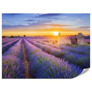 Muralo FOTOTAPETA Pre Obývaciu Izbu Levanduľové Pole Západ Slnka Fialová 400 x 280 cm vyobraziť