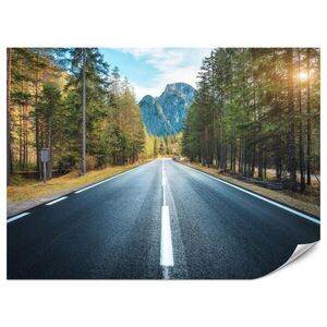 Muralo FOTOTAPETA Pre Obývaciu Izbu Asfaltová Cesta Horský Les Stromy Rastliny 100 x 70 cm vyobraziť