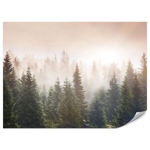 Muralo FOTOTAPETA Pre Obývaciu Izbu Ihličnatý Les Stromy v Hmle Mystický 400 x 280 cm vyobraziť