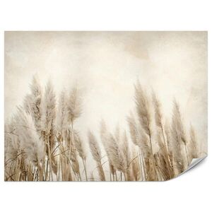 Muralo FOTOTAPETA Pre Spálňu Boho Tráva Pampasová Betón Rastliny Vintage 150 x 105 cm vyobraziť
