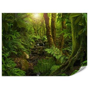 Muralo FOTOTAPETA Pre Obývaciu Izbu Divoká Džungľa Exotické Stromy Listy 450 x 315 cm vyobraziť