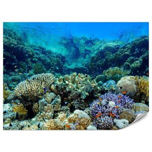 Muralo FOTOTAPETA Podmorský Svet Korálový Útes Farebné Ryby More Príroda 350 x 256 cm vyobraziť