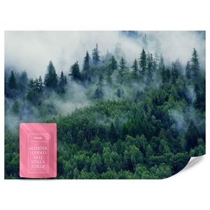 Muralo FOTOTAPETA Les V Hmle Prírodná Krajina 3D 250 x 175 cm vyobraziť