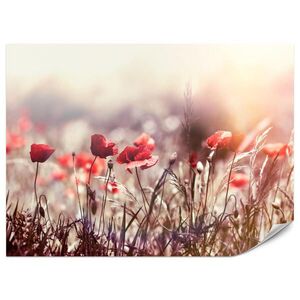Muralo FOTOTAPETA Pre Jedáleň Poľné Kvety Červená Maková Lúka Slnko 100 x 70 cm vyobraziť