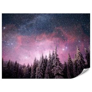 Muralo FOTOTAPETA Pre Spálňu Začarovaný Jedľový Les Zima Aurora 500 x 350 cm vyobraziť