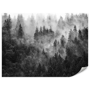 Muralo FOTOTAPETA Pre Obývaciu Izbu Hustá Hmla Les Stromy 200 x 140 cm vyobraziť