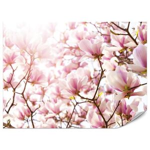 Muralo FOTOTAPETA Pre Spálňu Ružové Kvety Magnólie Florálna Jemná 450 x 315 cm vyobraziť