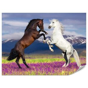 Muralo FOTOTAPETA Pre Jedáleň Kone Levanduľové Pole Hory Provensálsko 300 x 210 cm vyobraziť
