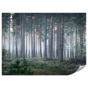 Muralo FOTOTAPETA Pre Obývaciu Izbu Hmlový Les So Stromami Mach Zelená 100 x 70 cm vyobraziť