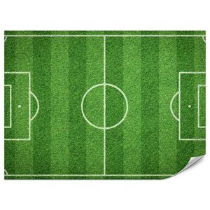 Muralo FOTOTAPETA Pre Študentskú Izbu Štadión Vtáčia Perspektíva Trávnik Ihrisko 100 x 70 cm vyobraziť