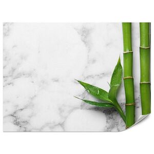 Muralo FOTOTAPETA Pre Kuchyňu Bambusové Listy Sivý Mramor Exotická Elegantná 200 x 140 cm vyobraziť