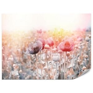 Muralo FOTOTAPETA Pre Obývaciu Izbu Makové Pole Lúka Východ Slnka Príroda 300 x 210 cm vyobraziť