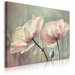Muralo OBRAZ NA PLÁTNE do Obývačky Kvety Tulipány Rastliny Príroda 40 x 30 cm vyobraziť