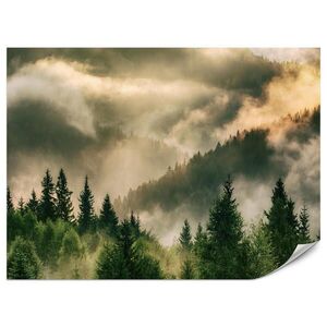 Muralo FOTOTAPETA Pre Obývačku Hmlistá Krajina Horský Les Ihličnaté Stromy 250 x 175 cm vyobraziť