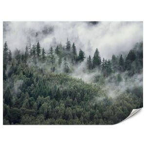 Muralo FOTOTAPETA Pre Spálňu Ranná Hmla Ihličnatý Les Stromy 500 x 350 cm vyobraziť