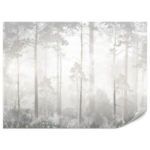 Muralo FOTOTAPETA Pre Spálňu Hmlistý Les Stromy Kríky Mystika 400 x 280 cm vyobraziť