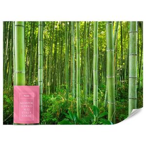 Muralo FOTOTAPETA Bambusový Les Rastliny Príroda 3D 500 x 350 cm vyobraziť