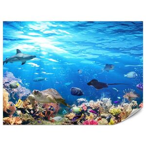 Muralo FOTOTAPETA Pre Kúpeľňu Korálový Útes Korytnačka Žralok Ryby 350 x 256 cm vyobraziť