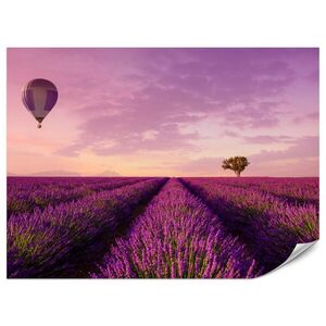 Muralo FOTOTAPETA Pre Obývaciu Izbu Levanduľové Pole Teplovzdušný Balón Provensálsko 200 x 140 cm vyobraziť