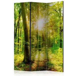 artgeist PARAVÁN, 135/172/3 cm vyobraziť