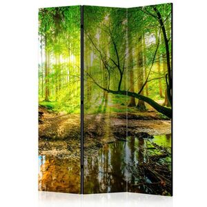 artgeist PARAVÁN, 135/172/3 cm vyobraziť