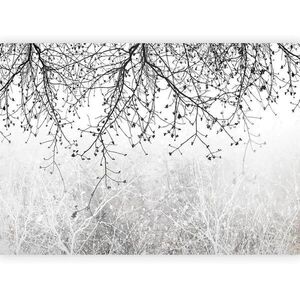 artgeist FOTOTAPETA velikost: 200/140 cm vyobraziť