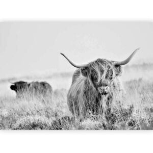 artgeist FOTOTAPETA velikost: 300/210 cm vyobraziť