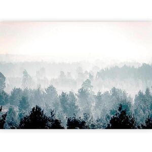 artgeist FOTOTAPETA velikost: 400/280 cm vyobraziť