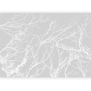 artgeist FOTOTAPETA velikost: 300/210 cm vyobraziť