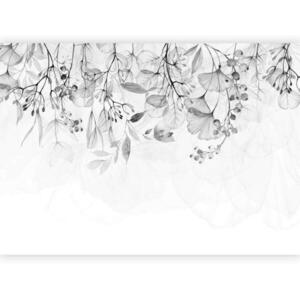 artgeist FOTOTAPETA velikost: 250/175 cm vyobraziť