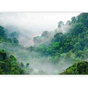 artgeist FOTOTAPETA velikost: 250/175 cm vyobraziť