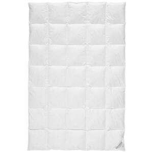 Sleeptex ZIMNÁ PRIKRÝVKA, 135/200 cm, kačacie páperie, kačacie perie vyobraziť