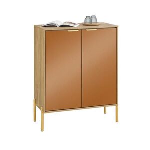 SoBuy MOBILE skriňa na topánky s 2 dverami 83x38x100cm Moderný vyobraziť