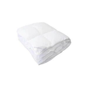 Sleeptex CELOROČNÁ PRIKRÝVKA, 200/200 cm, polyester, duté vlákno vyobraziť