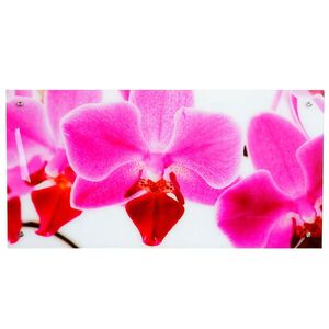 MCW SKLENENÝ OBRAZ ORCHIDE Multicolor vyobraziť