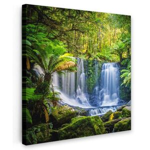 MuchoWow OBRAZ NA PLÁTNE Džungľa - Vodopád - Austrália - Rastliny - Príroda 50x50 cm vyobraziť