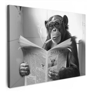 MuchoWow OBRAZ NA PLÁTNE Opica - WC - Noviny - Čiernobiele - Humor 80x60 cm vyobraziť