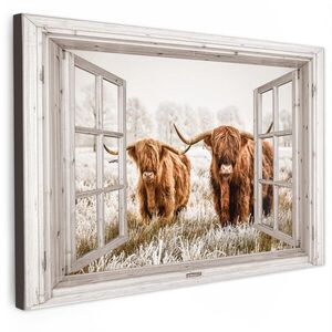 MuchoWow OBRAZ NA PLÁTNE Priehľadné - Scottish highlander - Zvieratá 120x80 cm vyobraziť
