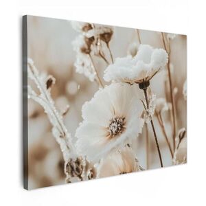 MuchoWow OBRAZ NA PLÁTNE Kvety - zima - biela - sneh - béžová 40x30 cm vyobraziť