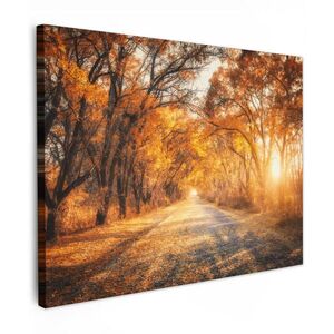 MuchoWow OBRAZ NA PLÁTNE Les - Jeseň - Stromy - Lesná cesta - Príroda 40x30 cm vyobraziť