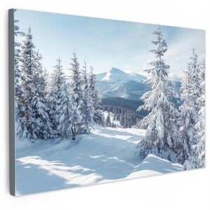MuchoWow OBRAZ NA PLÁTNE Zimná krajina - Príroda - Hory - Stromy - Sneh 60x40 cm vyobraziť